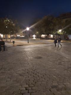 Mrs Goodlife Madrid - 6