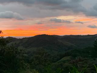 Globi lodge #2 - Monteverde Costa Rica - 5