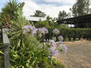 Riverside Farm Retreat - Eulah - 5
