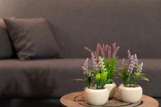 Ariadne Cozy Beautiful Studio - Heraklio - 7