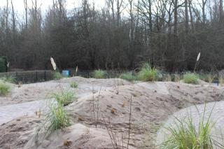 Dünenhaus Wohnung 9 - 2