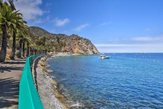 Walk to Beach and Main St Catalina Island Cottage! - Avalon - 9