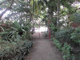 Felipa Beach and Guesthouse - Gumamela - Dumaguete - 4