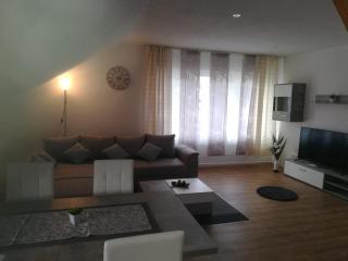 Diti Apartment - Lottstetten - 7