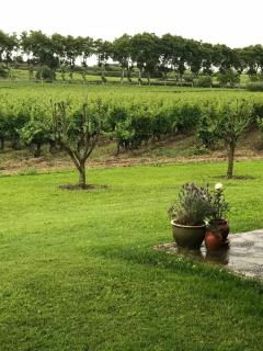 Domaine de Peilhan - 4