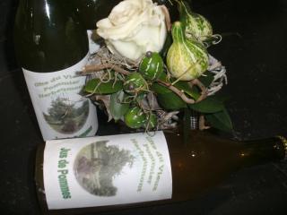 Gite du vieux pommier - 3