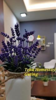 Teku Homestay Geting Tumpat Kelantan - Kampong Geting - 3