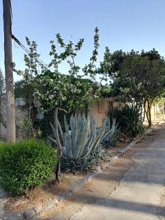 Casa Rural Los Pinos - Valmuel - 9