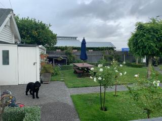 Hawkes Bay Villa-Beechwood - Hastings - 4