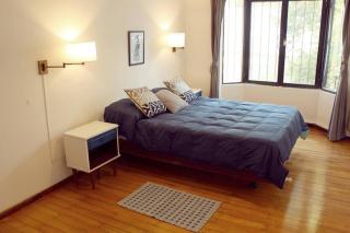 Big beautiful house with garden in 5ta Sección neighbourhood - Mendoza - 6