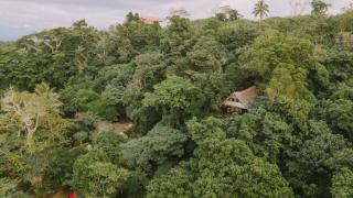Treetops Boutique Hotel & Bungalows - 3
