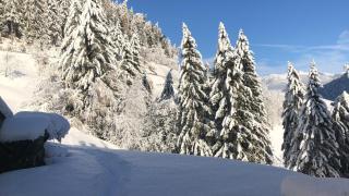 Flatscherhof - 4