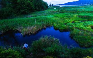 Inn the Estuary - Nanoose Bay - 9