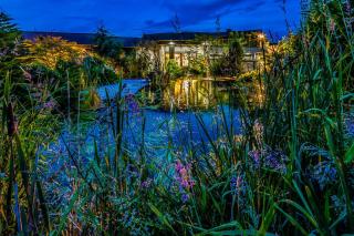 Inn the Estuary - Nanoose Bay - 7
