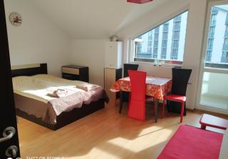 Studio Chamkoriya - Borovets - 4