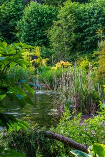 Inn the Estuary - Nanoose Bay - 4