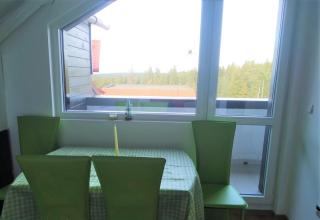 Green Studio Chamkoriya - Borovets - 5