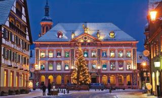 Blackforest Home Gengenbach nahe Europapark Rust - Gengenbach - 8