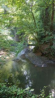 Le 3 de Gussignies - 4