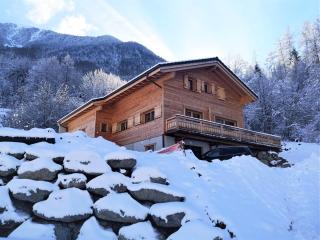 Le cocon du Catogne proche Martigny Verbier - Netflix - - Les Valettes - 8