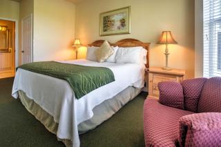 Naples Condo with Golf View and Resort-Style Amenities - Naples - 4