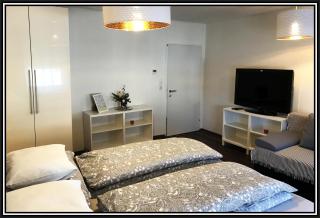 Sankt Veit Apartment - Sankt Veit an der Glan - 9