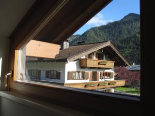 Ferienhaus & -wohnung Flatscher - Waidring - 1
