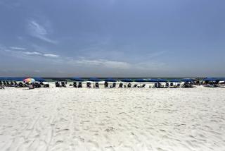Miramar Beach Retreat - Beachfront and Poolside - Destin - 8