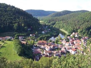 Ferienwohnung am Pfaffenfels - Schönau - 5