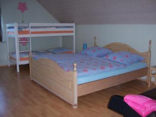 Ferienwohnung am Pfaffenfels - Schönau - 3