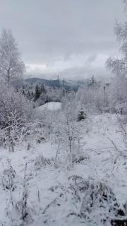 Zacharovany Karpaty - Slavske - 7