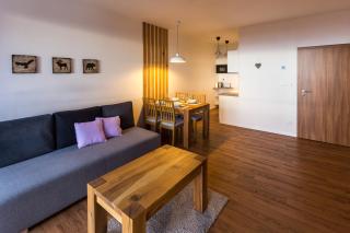 Apartment Chamonix PRIMO - Starý Smokovec - 7