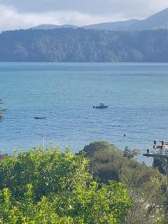 Perfect Small Bay Peaceful Beach. Great Fishing Boating Oysters - Ohingaroa - 1