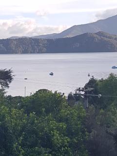 Perfect Small Bay Peaceful Beach. Great Fishing Boating Oysters - Ohingaroa - 2