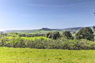 Moonview Ranch on 20 Acres in Sonoma County! - Sebastopol - 8