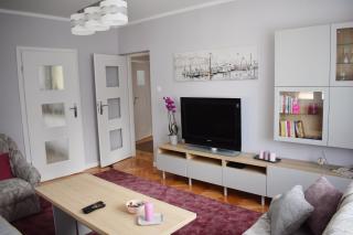 Cozy apartment in Tarnow - Tarnów - 2
