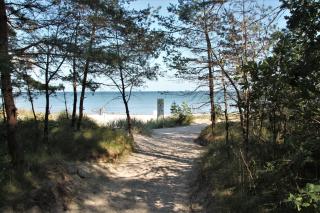 Bruchbude mit Meerblick - Binz - 9