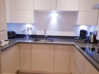 Chiswick Park Apartments, Chiswick, West London - Londra - 1