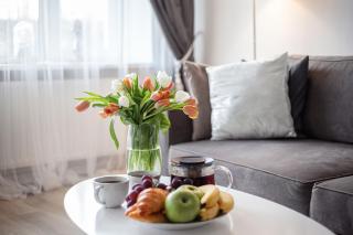 Cozy Naugarduko Apartments Close to Vilnius Old Town - Vilnius - 3