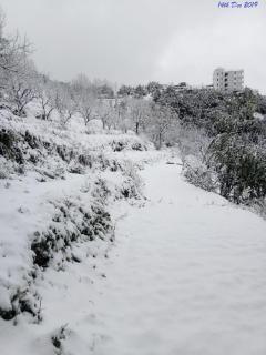 Viewtiful Homestay - Mukteshwar - 9