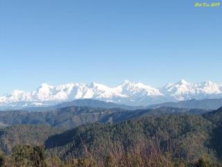 Viewtiful Homestay - Mukteshwar - 6