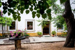 Quinta da Bizelga Cottages - Tomar - 5