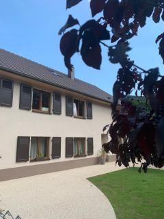 Les Hirondelles - Wintzenheim - 8