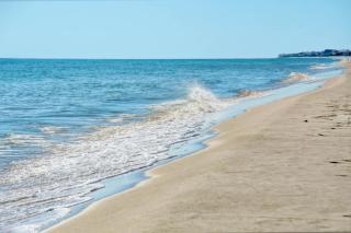 Picture Perfect - Dauphin Island - 8