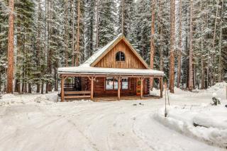 Forest Cabin - 0