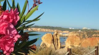 Albur Village B - Lotus - Alvor - 4