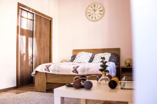 Apartament Chopina 12a - 9