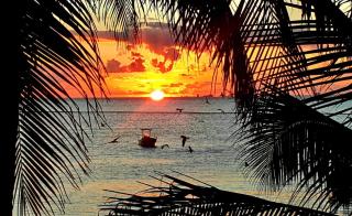 Sunshine Suite - Playa del Carmen - 7
