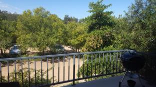 Wildebraam Berry Estate - 2
