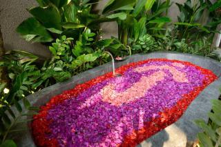 Villa Jabali Seminyak - Seminyak - 8